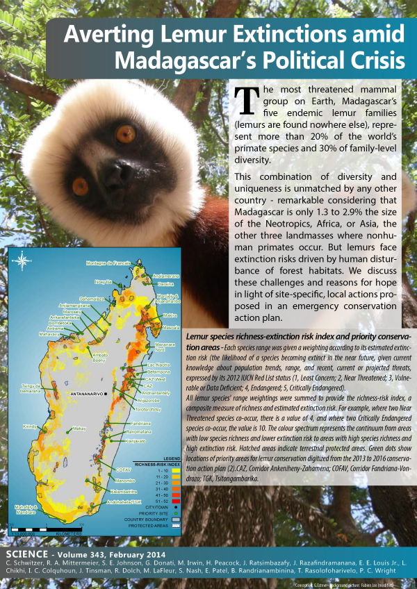 Lemurs striking fact